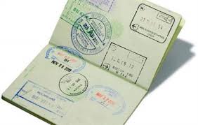 Read more about the article New Zealand Visa for Saudi Arabian Citizens