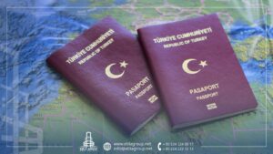 Read more about the article Turkey Visa for Cruise Visitors: Everything You Need to Know