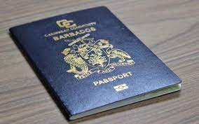 Read more about the article Indian Visa for Venezuelan Citizens: A Comprehensive Guide