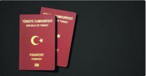 Read more about the article Turkey Visa Application: Everything You Need to Know