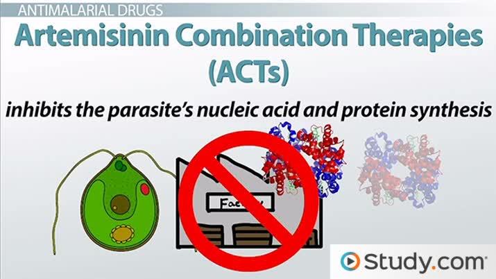 Read more about the article A Human Antiparasitic Medication Called Ivermectin